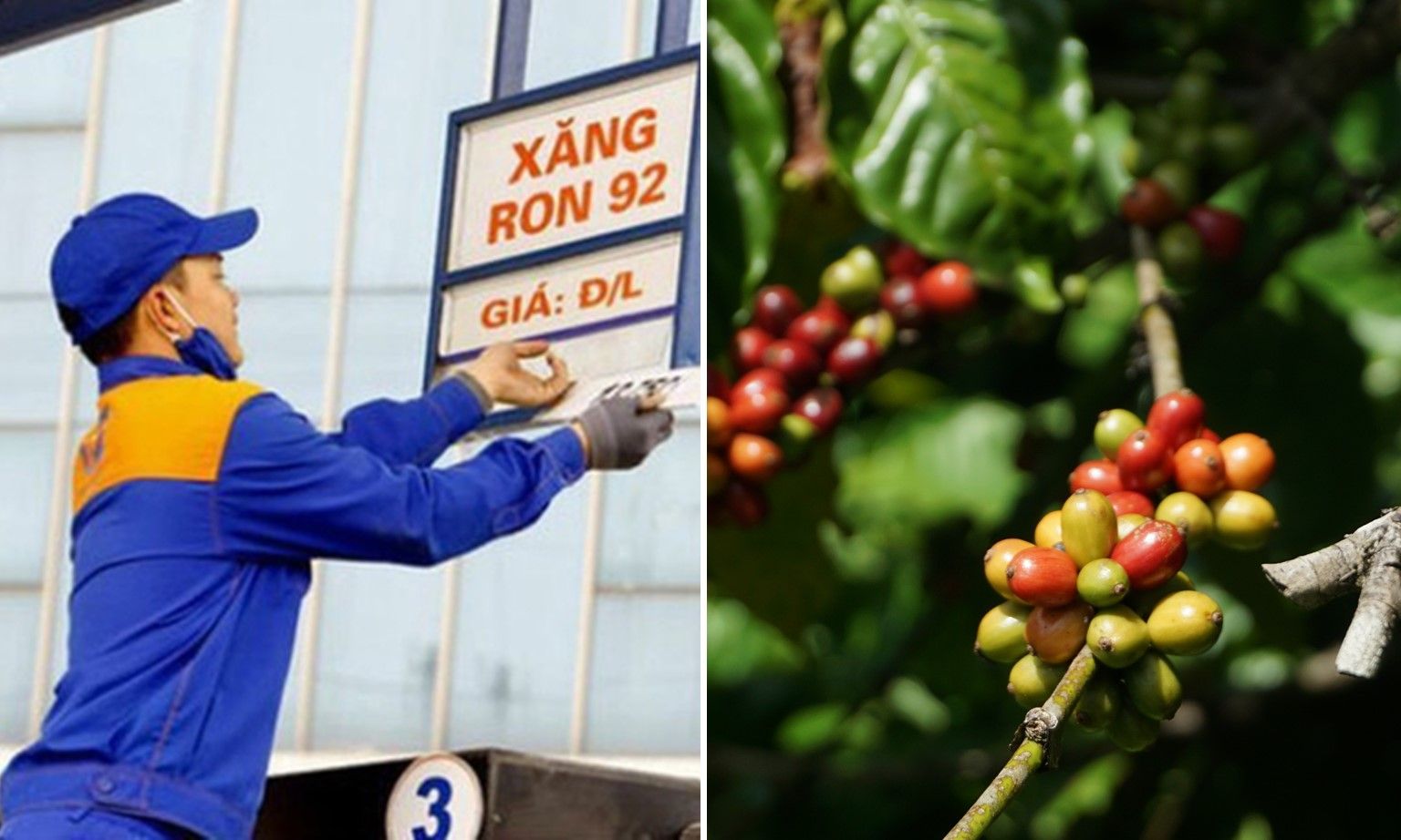 Điểm tin chiều 17/4: Giá xăng vượt 25.000 đồng/lít | Giá cà phê trong nước tăng như vũ bão