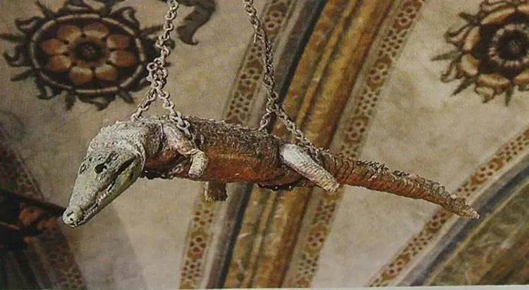Kỳ lạ nhà thờ Ý treo cá sấu 500 tuổi trên trần nhà 