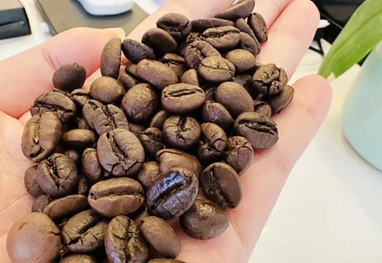 Giá cà phê tăng mạnh, có thể đạt 150.000 đồng kg