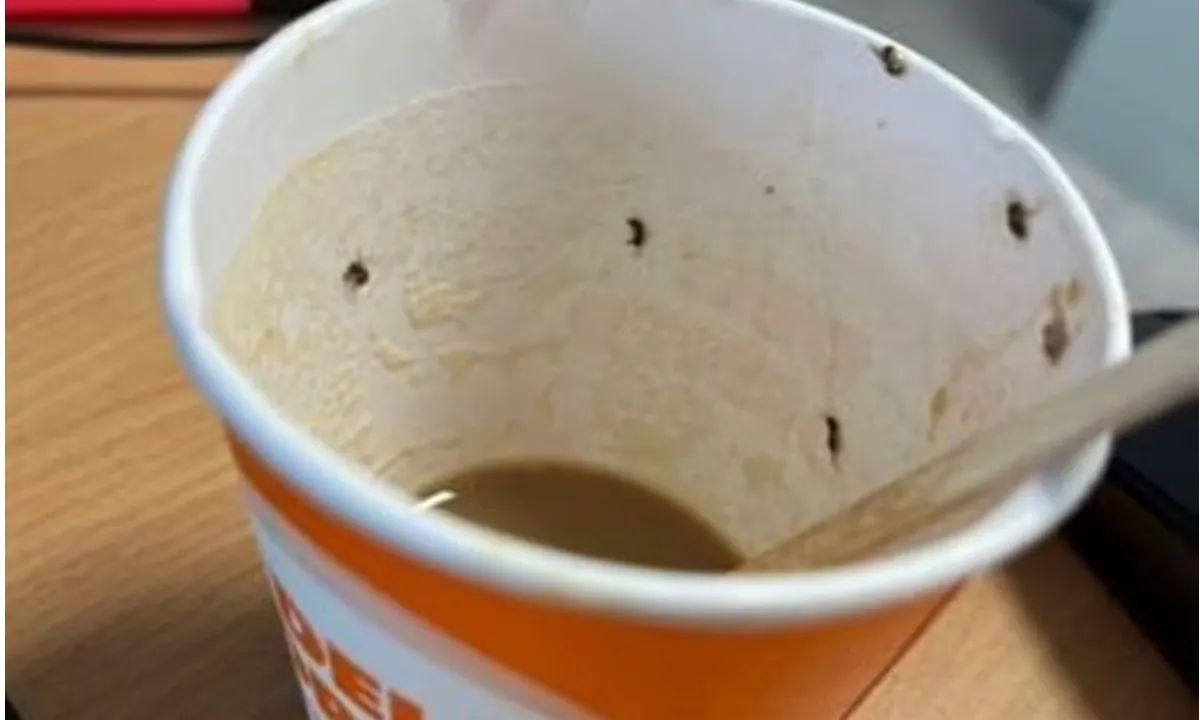 Tây Ban Nha: Người phụ nữ xém nguy kịch sau khi uống ly cà phê đầy côn trùng