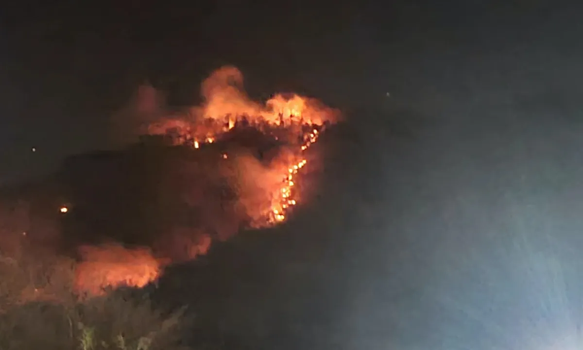 Vụ cháy rừng trên núi Cô Tô cơ bản được khống chế 