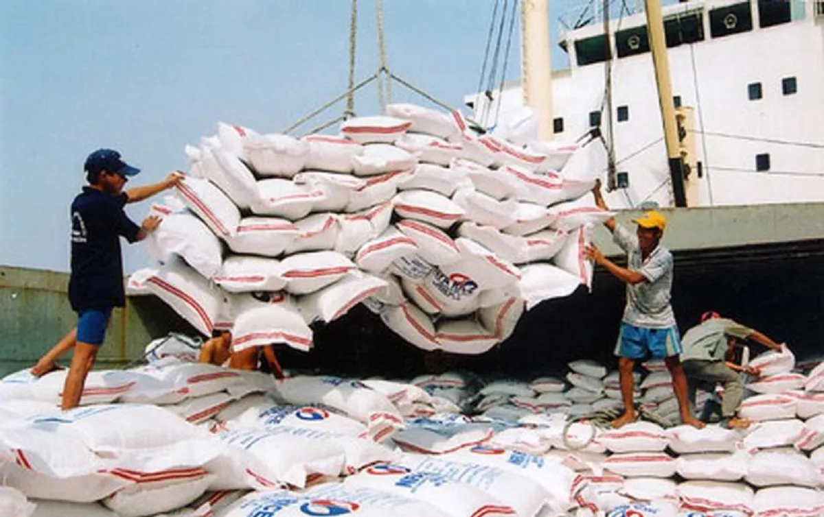 Xuất khẩu gạo tiếp tục khởi sắc