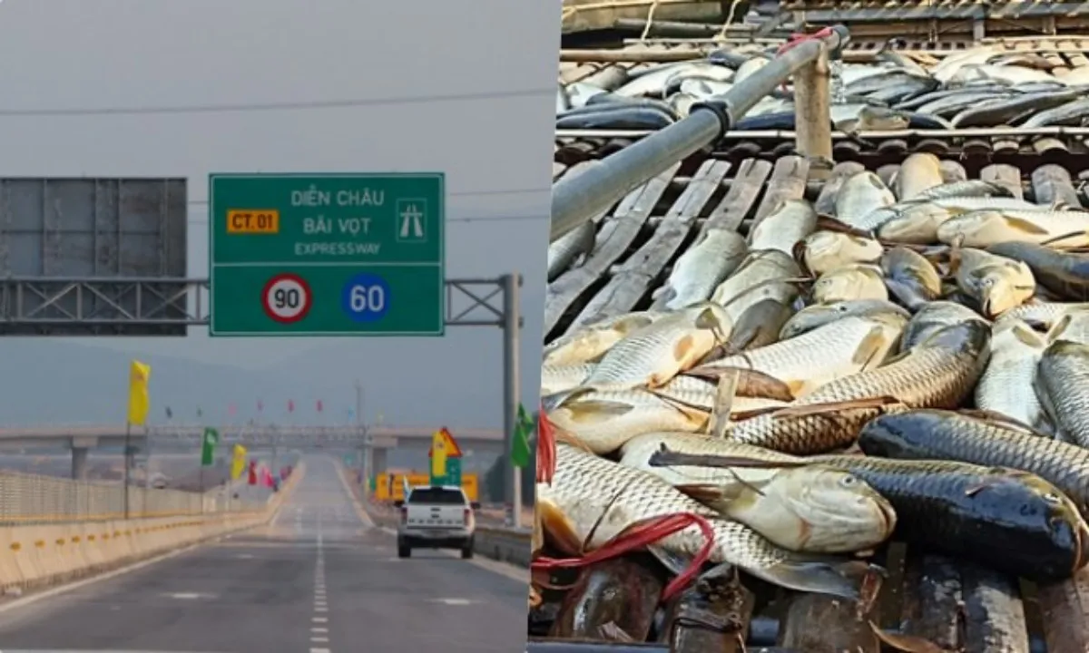 Điểm tin sáng 29/4: Cao tốc Diễn Châu - Bãi Vọt thông xe | Cá chết hàng loạt trên sông Mã