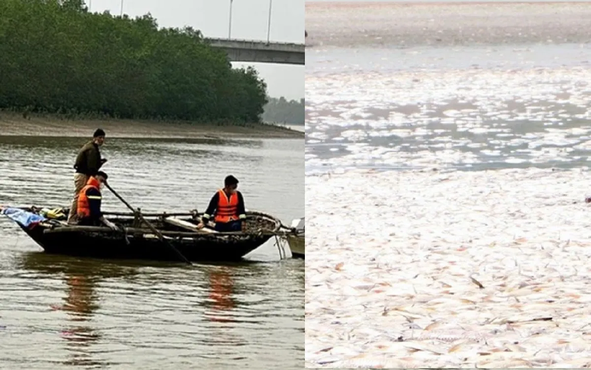 Điểm tin sáng 30/4: Rà soát phương tiện chở khách sau vụ chìm thuyền | Cá chết hàng loạt ở Đồng Nai