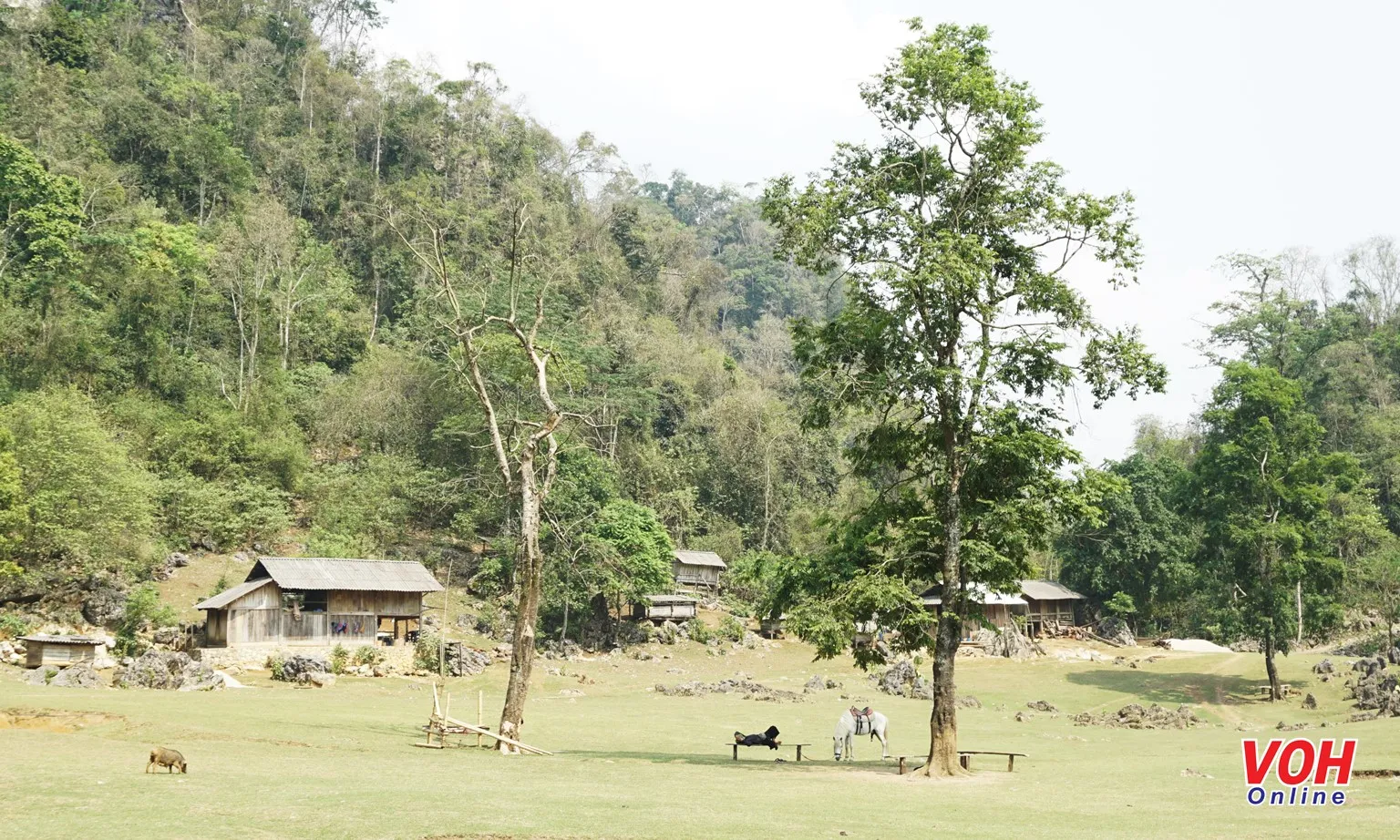 ‘Làng nguyên thủy’ bình yên của người Mông giữa rừng núi Mộc Châu