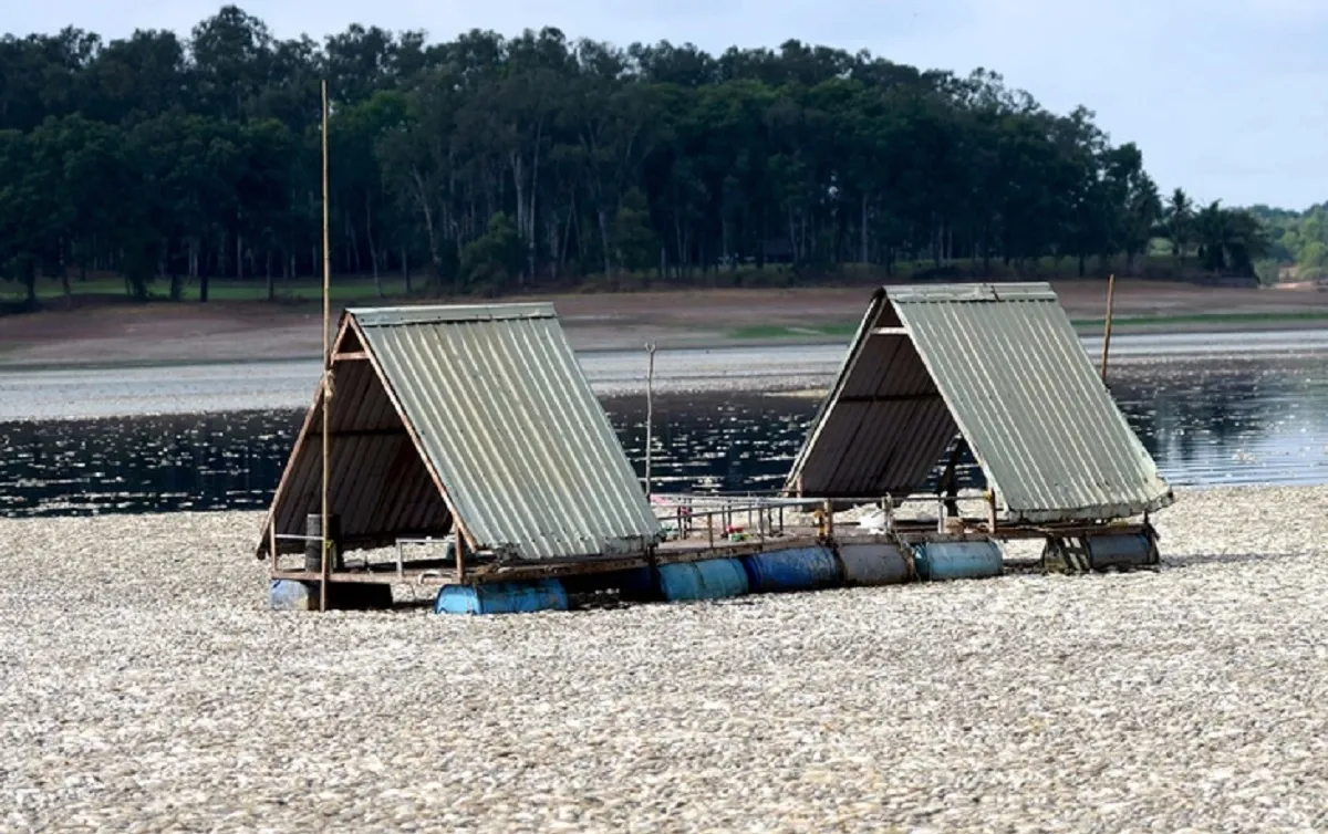 Hoàn thành việc vớt xác cá trên hồ Sông Mây