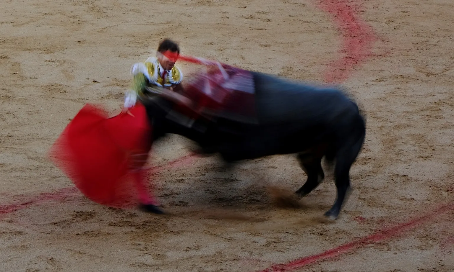Tây Ban Nha hủy bỏ giải đấu đấu bò truyền thống