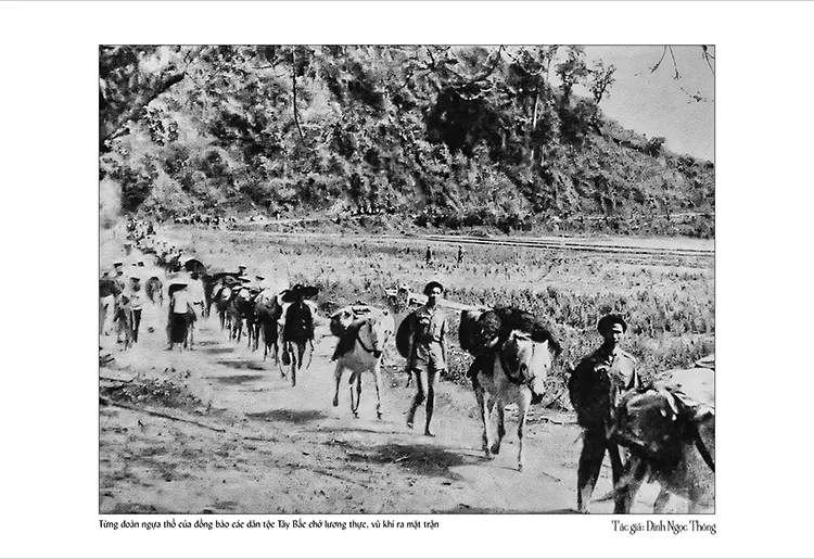 08-Từng đoàn ngựa thồ của đồng bào các dân tộc Tây Bắc chở lương thực, vũ khí ra mặt trận ĐBP_upscayl_4x_ultrasharp-