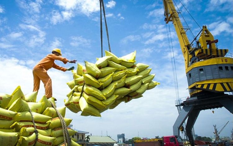 Giá gạo xuất khẩu tăng nhẹ trở lại