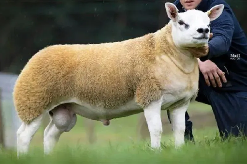 cuu-dat-nhat-the-gioi-1