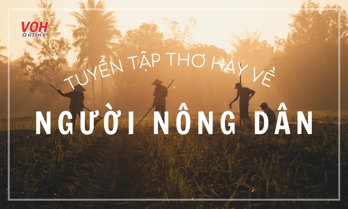 25 bài thơ về người nông dân hay nhất 