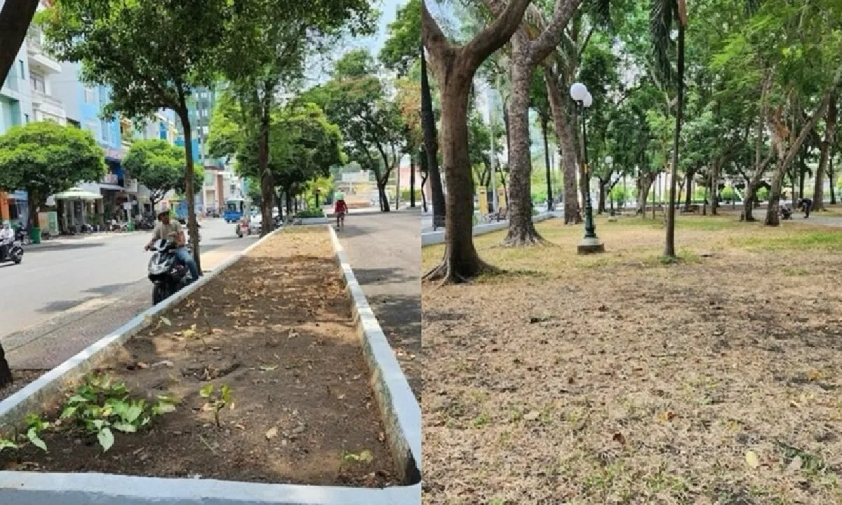 Nhiều mảng xanh Công viên 23/9 hư hại sau Ngày hội Du lịch 