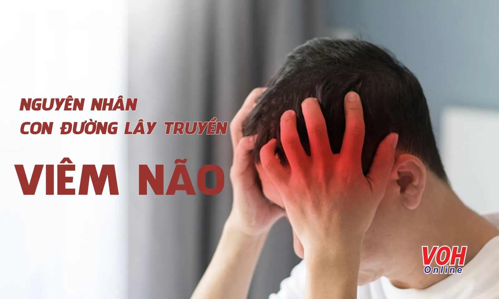 Nguyên nhân và các con đường lây truyền viêm não