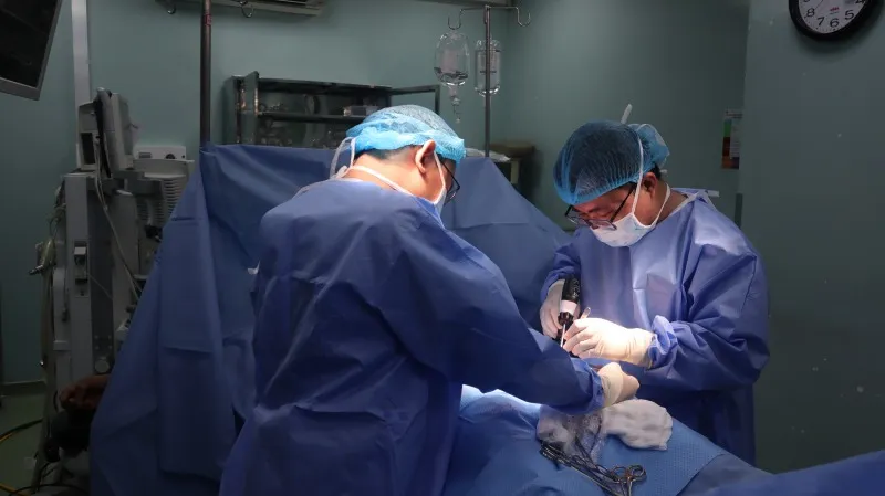 Nguoi dan ong bi heo tap rach co quan sinh duc phai phau thuat cap cuu