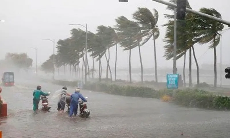 Từ nay đến tháng 8/2024: Biển Đông có thể xuất hiện 3-5 cơn bão