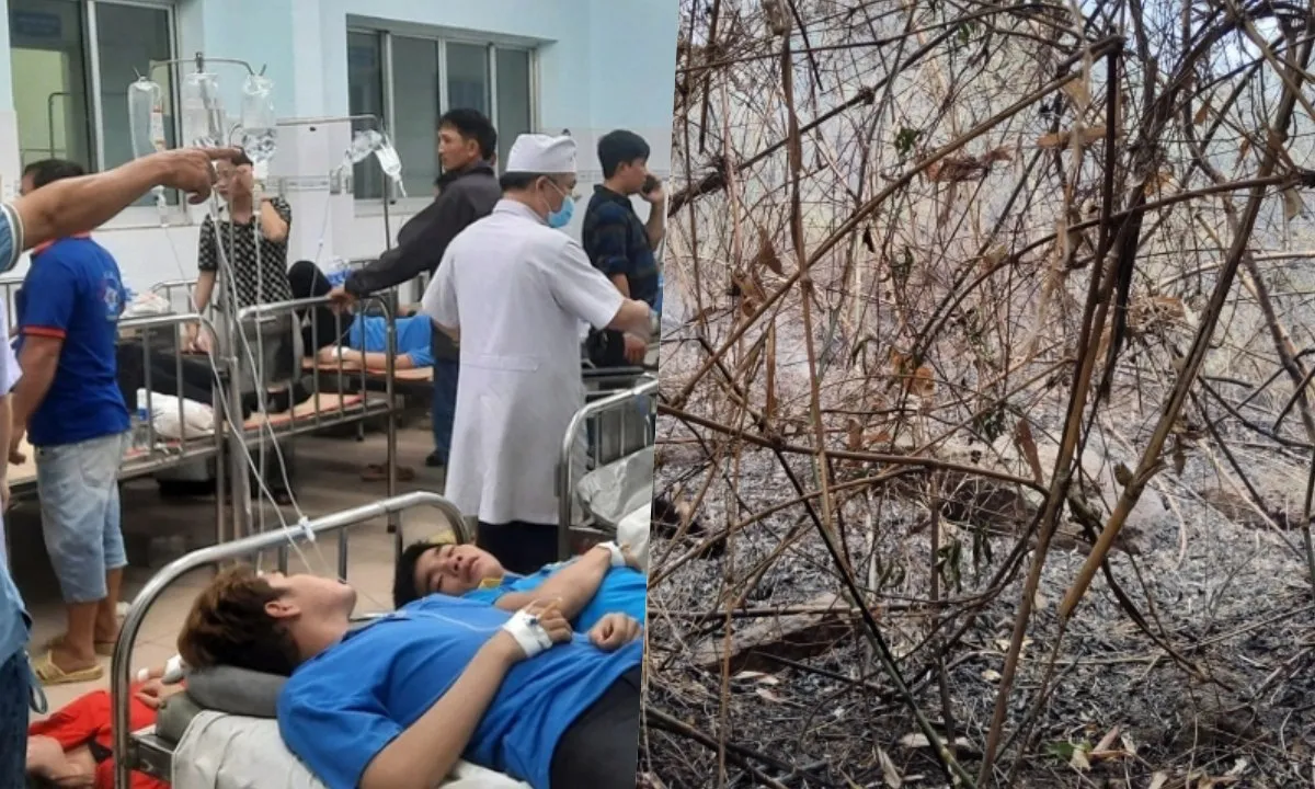 Điểm tin sáng 16/5: Nhiều công nhân đau bụng nhập viện ở Đồng Nai | Cháy rừng dưới chân núi Bà Nà