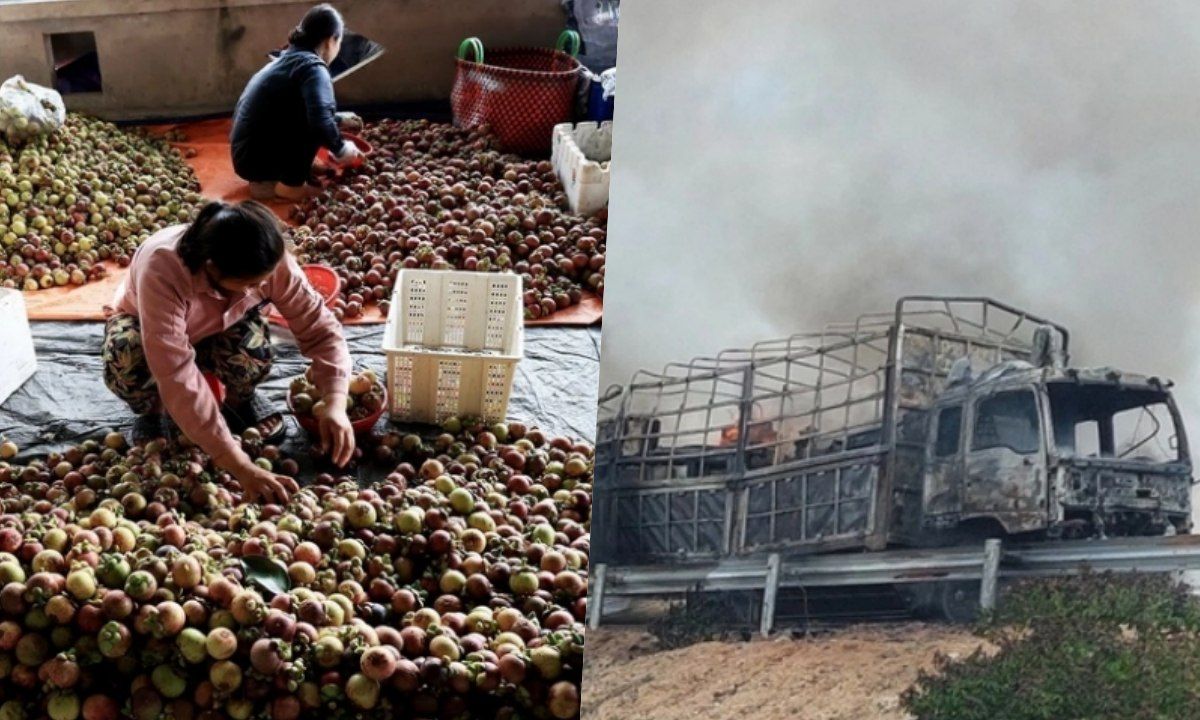 Điểm tin trưa 16/5: Măng cụt mất mùa, không được giá | Xe ô tô tải bị cháy trơ khung trên cao tốc 