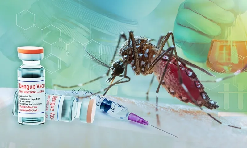 vietnam-to-test-japanese-dengue-vaccine-amid-a-sharp-rise-in-infections-1402