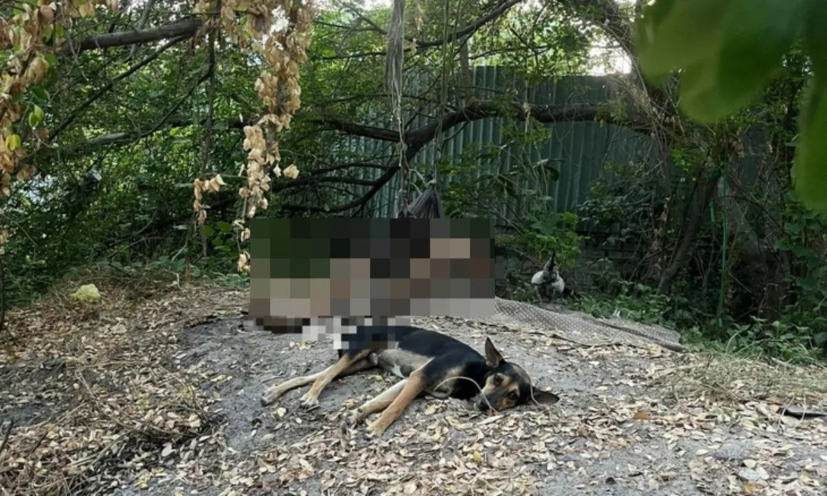 nguoi-dan-ong-chet-bat-thuong