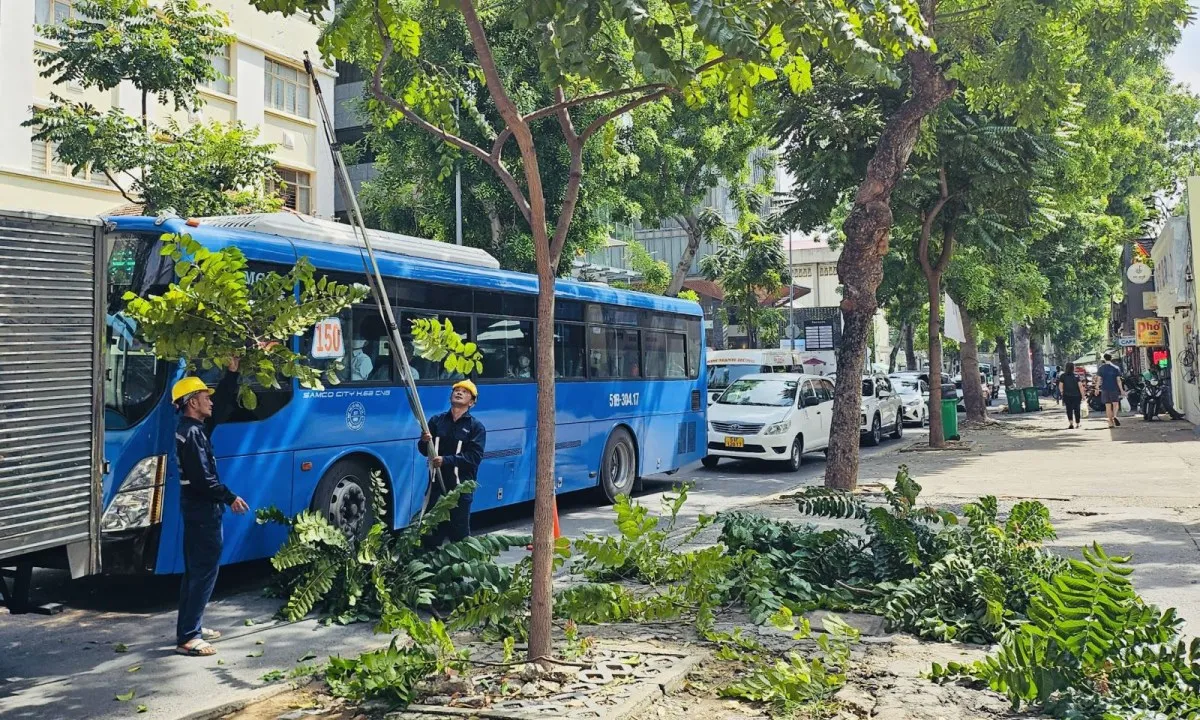 TPHCM: Cắt tỉa cây xanh, nạo vét cống nước đảm bảo an toàn mùa mưa