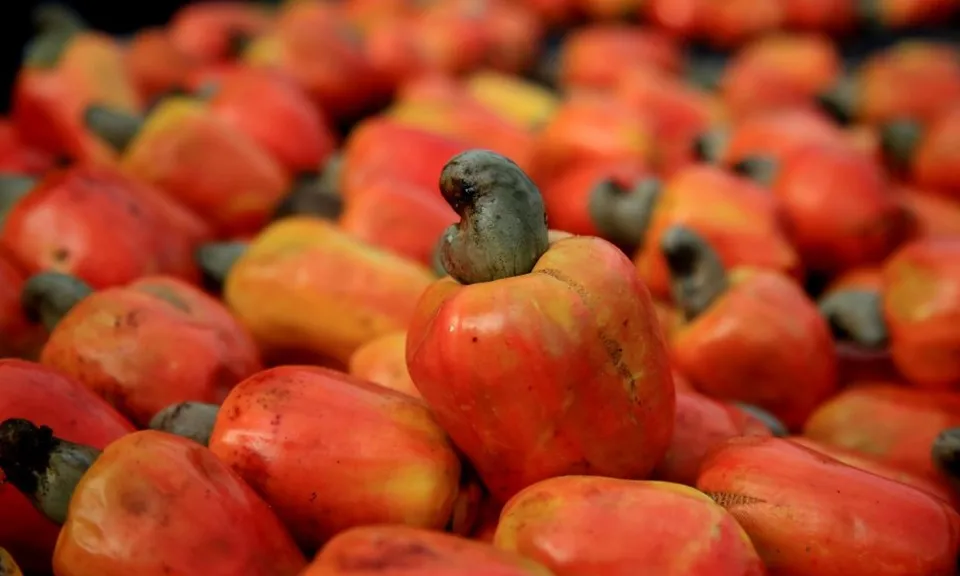 bong-cap-do-3-270524-2