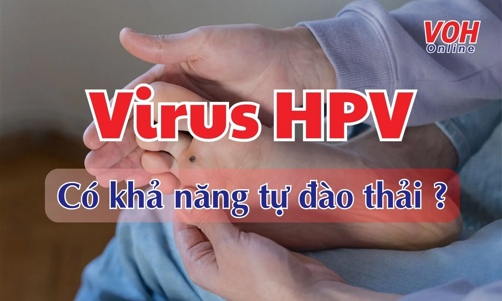 Virus HPV có thể tự đào thải hay không?