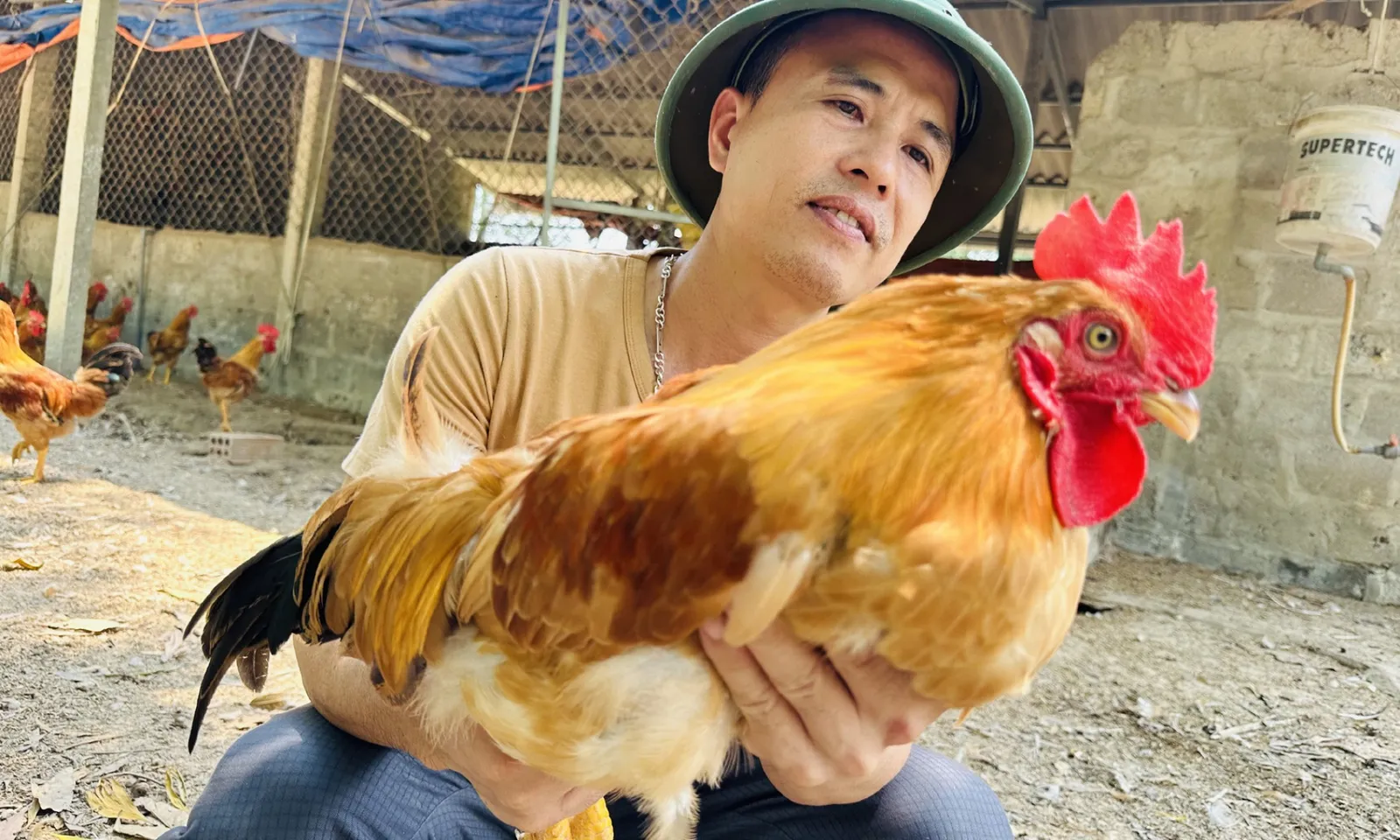 Chàng rể Quảng Trị lập nghiệp thành công nhờ ăn thịt gà của cha vợ