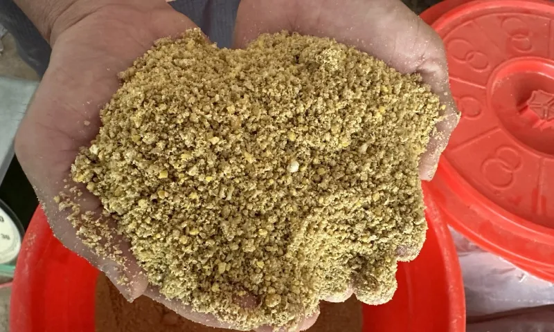 3105 - Thức ăn thảo mộc chính là bí quyết giúp gà Cùa sạch và thơm ngon hơn - nd3