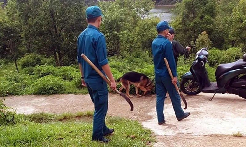 Lực lượng chức năng phát cây, cùng chó nghiệp vụ tìm kiếm thi thể ĐL Cacc