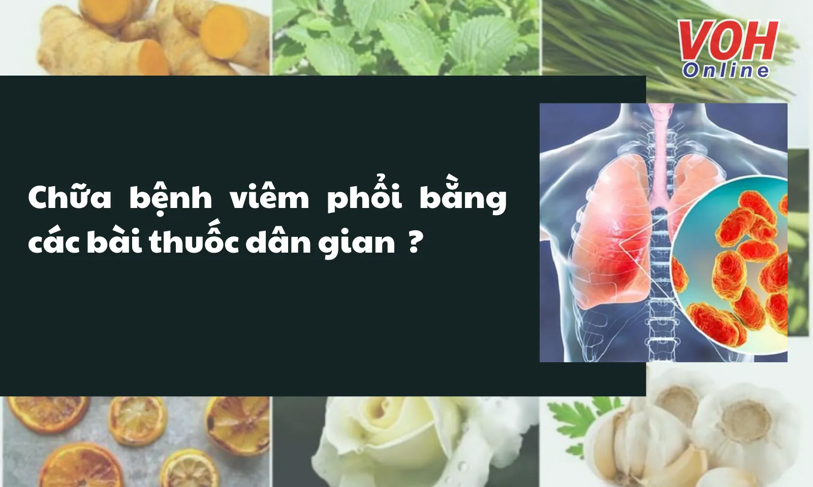  Có thể trị bệnh viêm phổi bằng các bài thuốc dân gian hay không? 