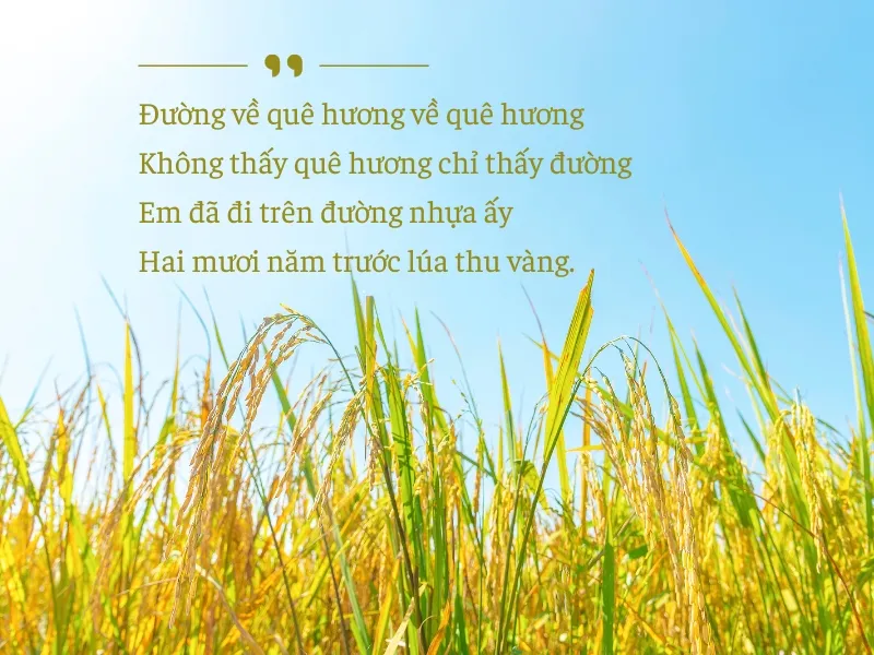 tho-quang-dung-voh-5