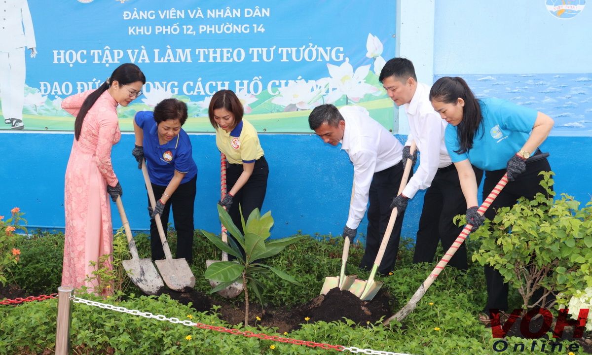 “Vườn Trường Sa” rực rỡ sắc hoa giữa lòng thành phố