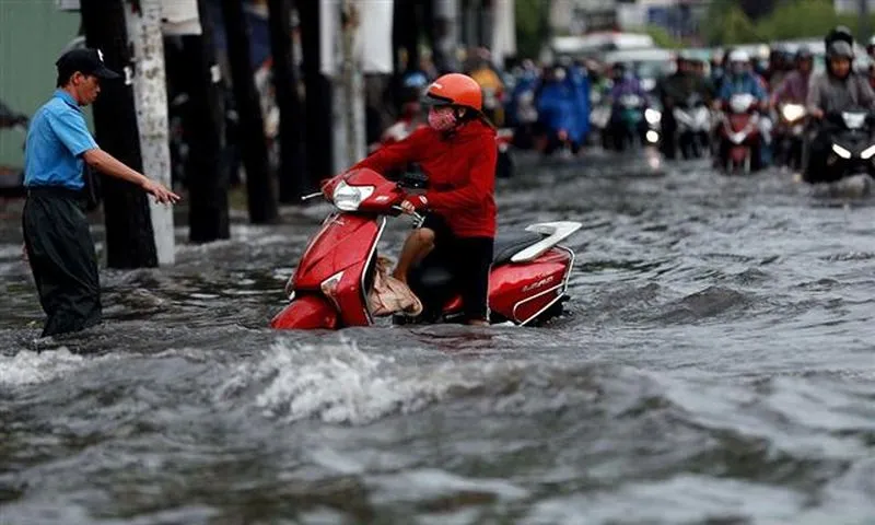 TPHCM học hỏi kinh nghiệm chống ngập của Rotterdam 