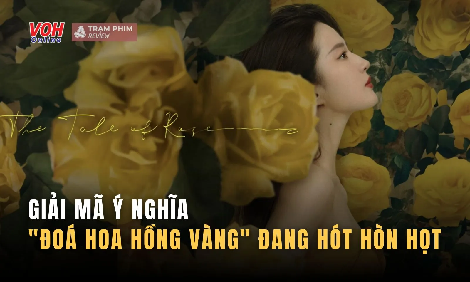 Giải mã ý nghĩa đoá hoa hồng vàng đang hót hòn họt của Lưu Diệc Phi