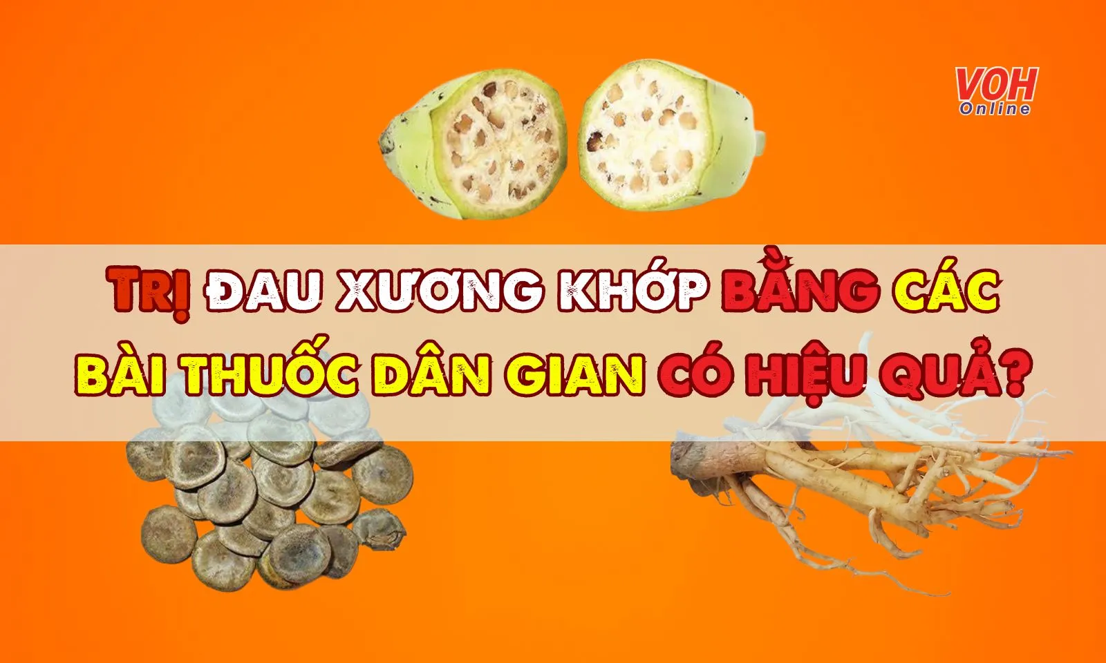 Trị đau xương khớp bằng các bài thuốc dân gian có hiệu quả? 