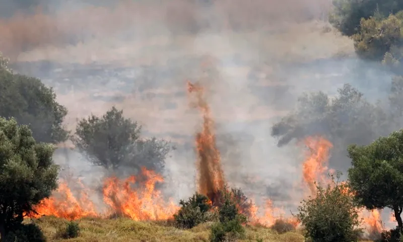 Căng thẳng biên giới Lebanon với Israel gây lo ngại cho an toàn của Trung Đông