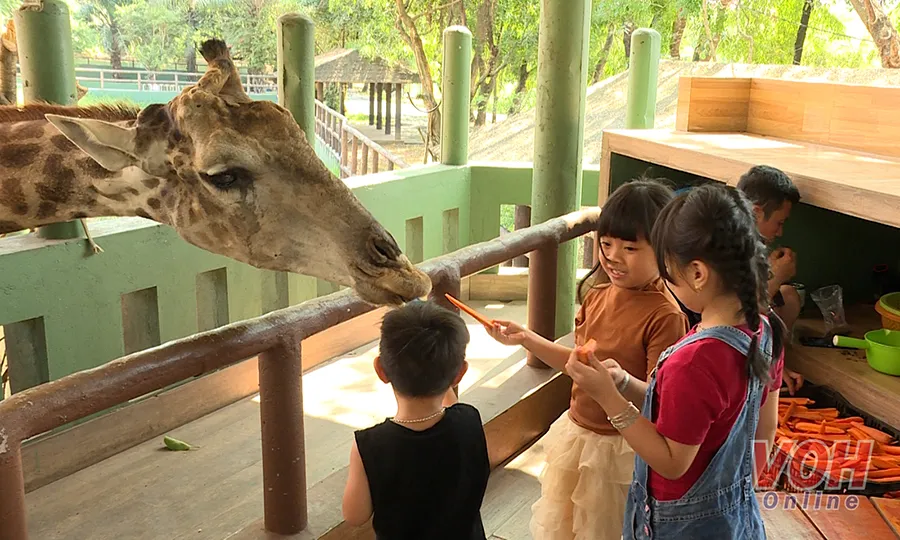 Nghỉ hè: Thời gian nghỉ ngơi, vui chơi và học hỏi của trẻ em