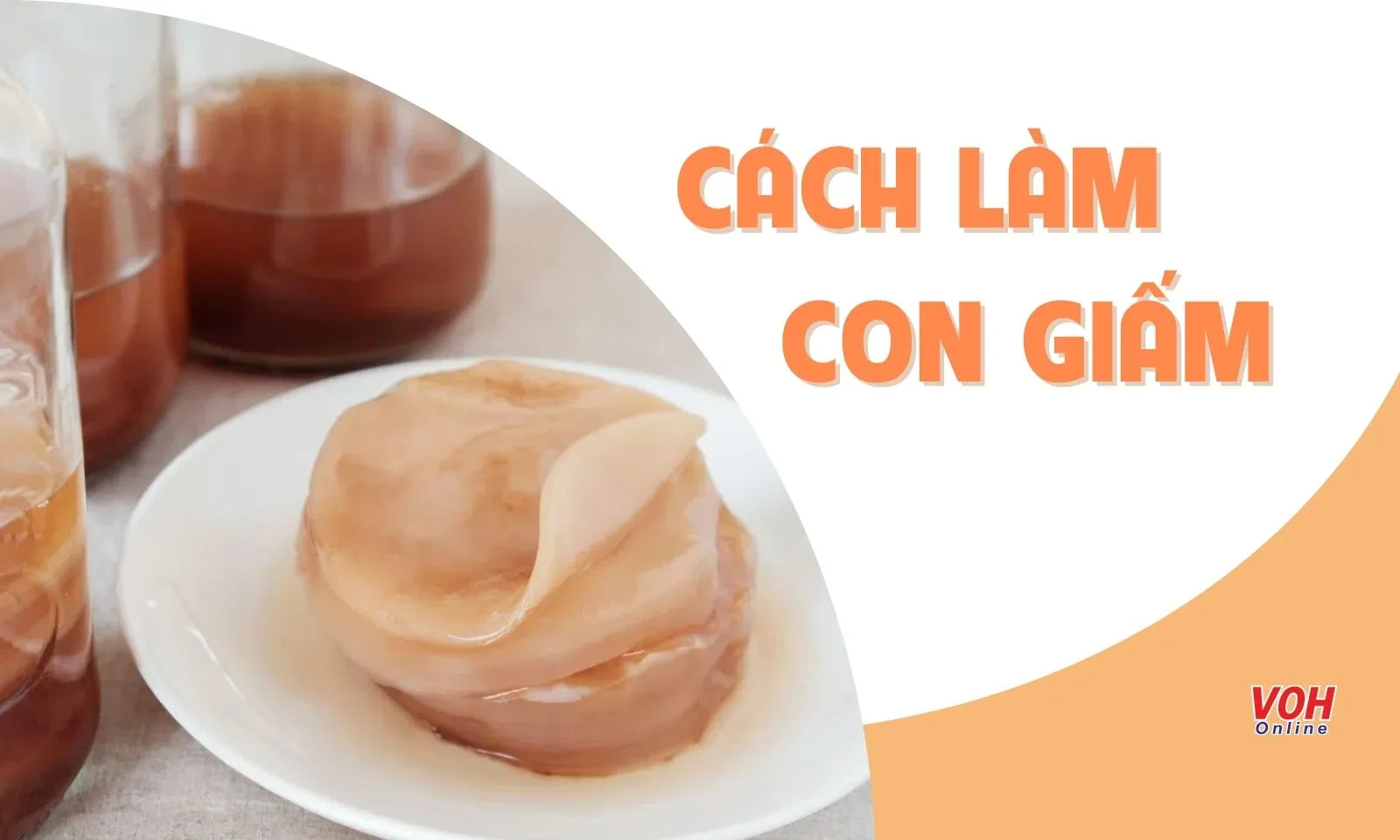 Hướng dẫn 7 cách làm con giấm tại nhà vừa ngon lại đơn giản