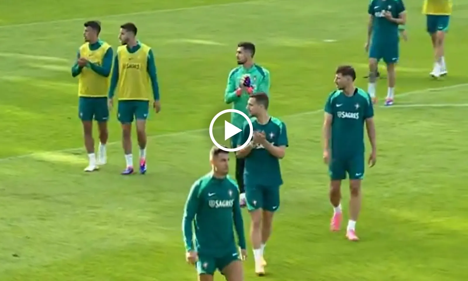 VIDEO: Đồng đội Ronaldo xả thân “bắt gọn” fan cuồng tính làm loạn buổi tập của tuyển Bồ Đào Nha