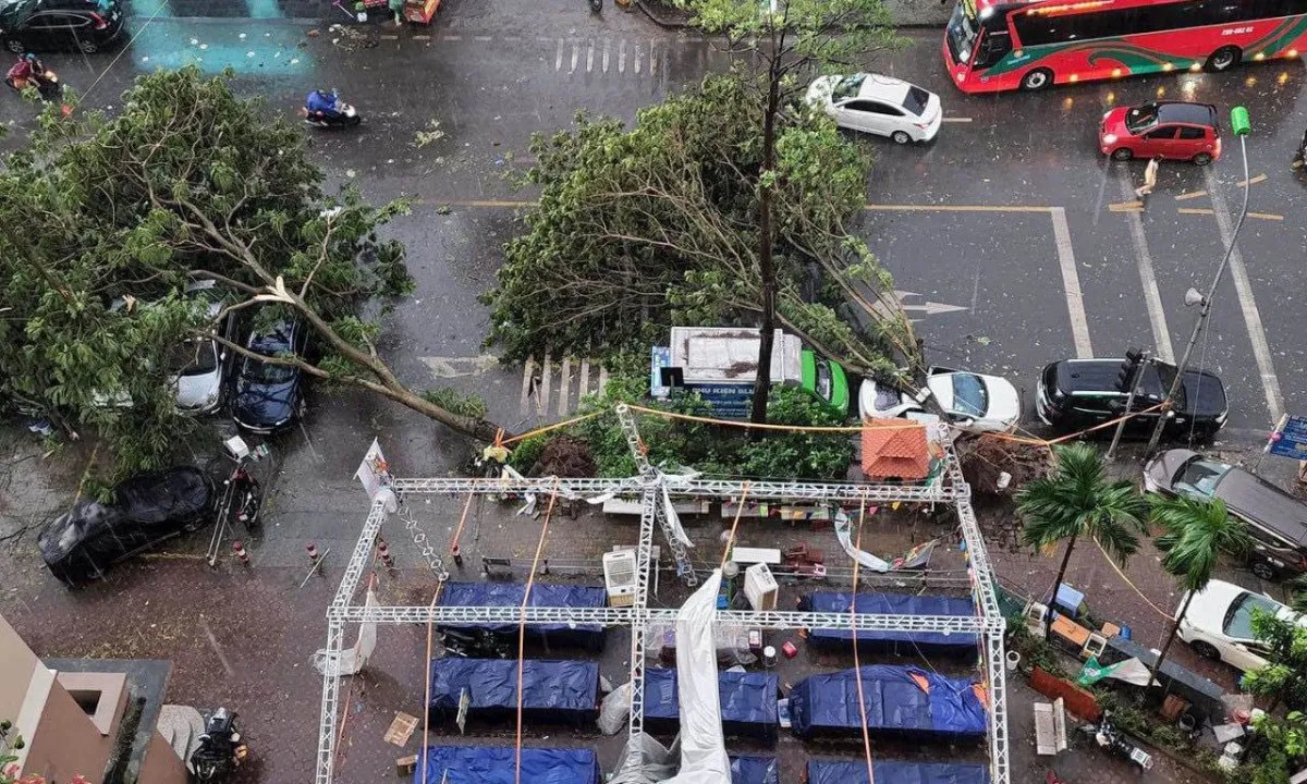 Nhiều ôtô bị cây xanh bật gốc ngã, đè trúng trong mưa dông