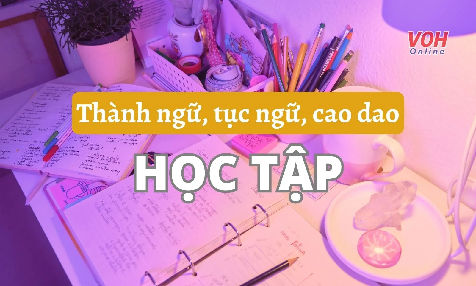 Những câu thành ngữ, ca dao, tục ngữ về học tập truyền cảm hứng