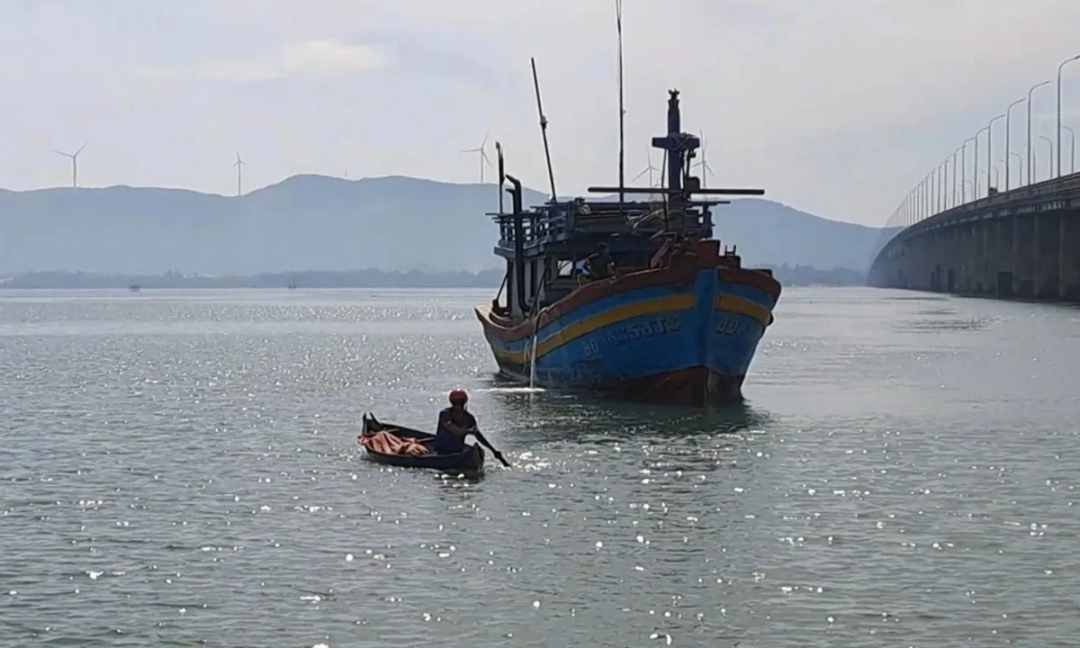 Bình Định: Nam thanh niên quả cảm chèo xuồng cứu người nhảy cầu Thị Nại