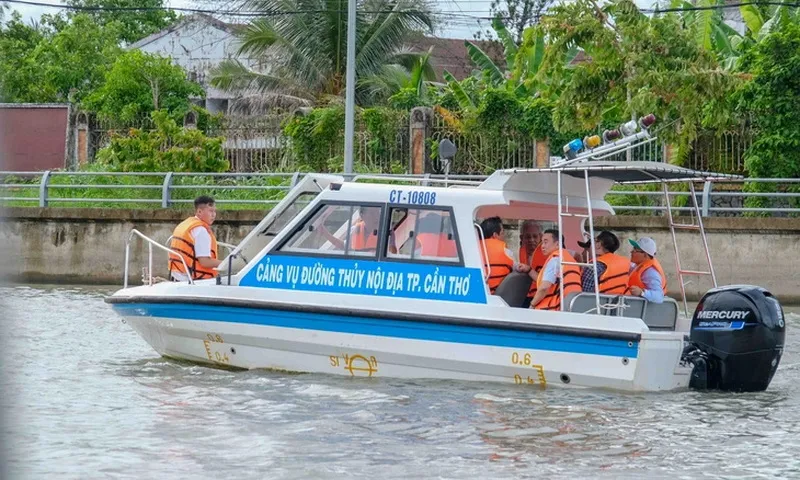 Cần Thơ: Sẽ khai thác 3 tuyến buýt sông đặc trưng miền Tây Nam Bộ