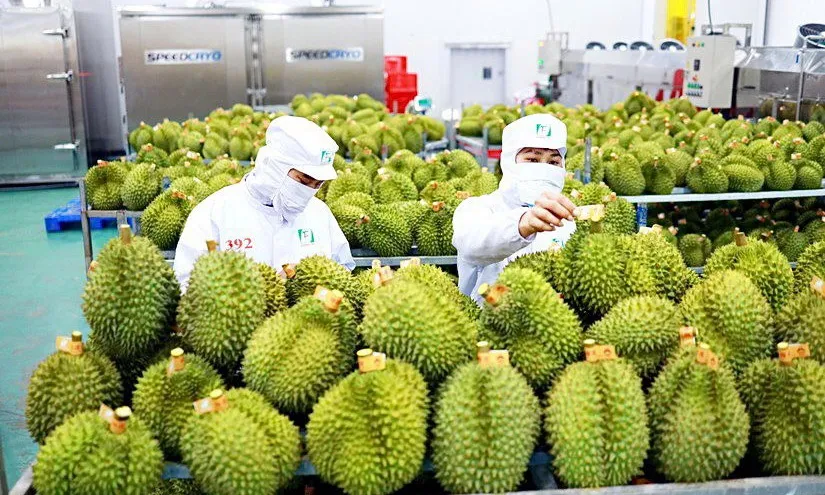 Kim ngạch xuất khẩu rau quả Việt Nam năm 2024 có thể lập kỷ lục 7 tỷ USD