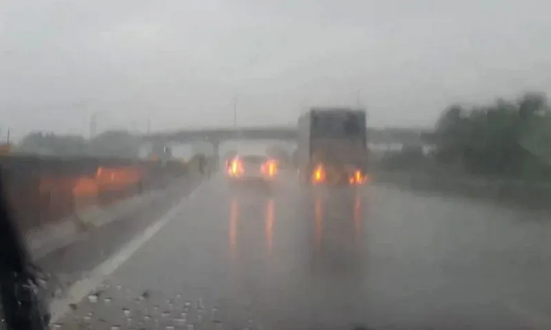 Lái xe khi trời mưa, đừng lạm dụng đèn khẩn cấp