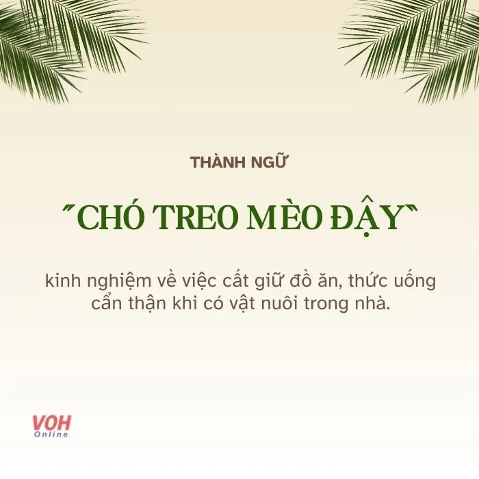 voh-cho-treo-meo-day-1