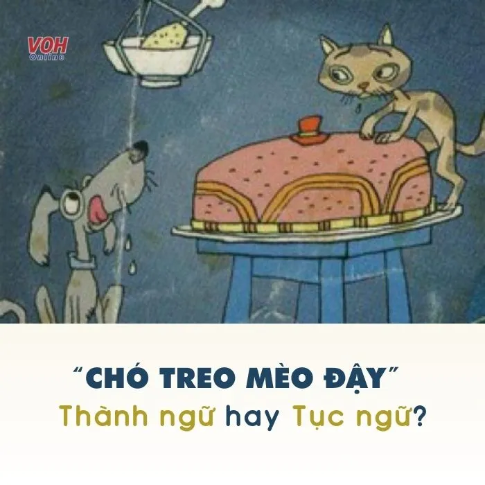 voh-cho-treo-meo-day-2