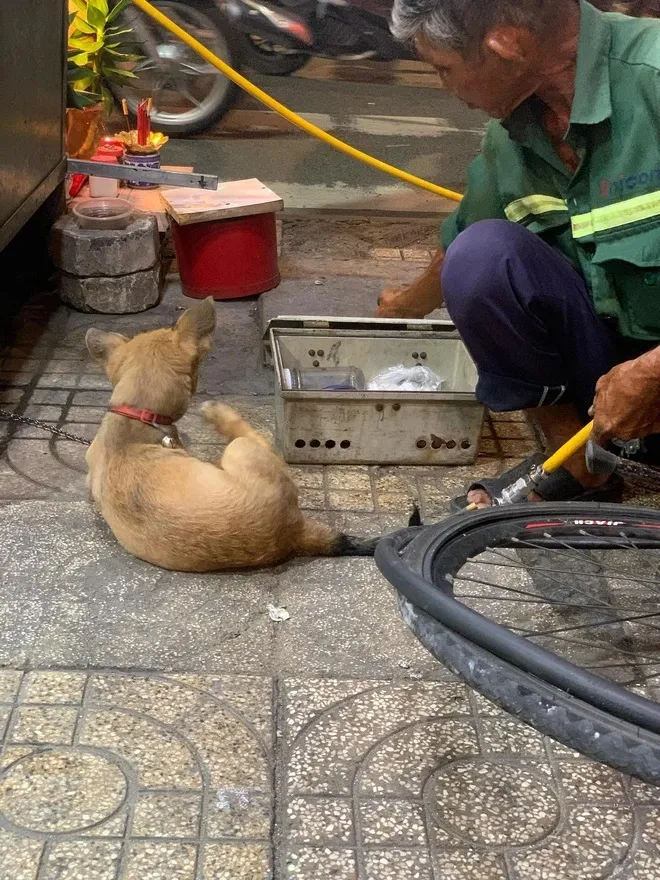 44930169714535372027140508312716370957367310n-17195650076811112432197