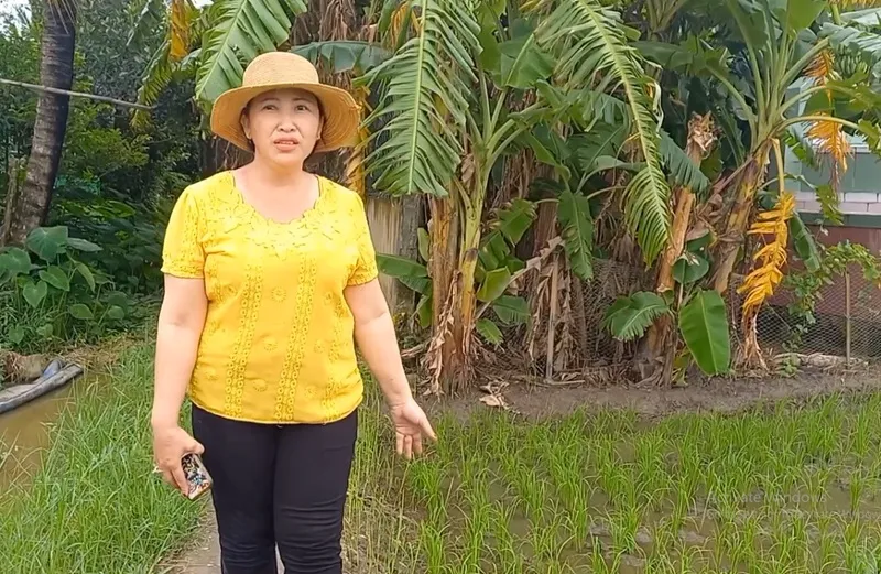 chi-nong-dan-nhe-nhang-bo-tui-3-ty-nho-trong-cay-nga-theo-chieu-gio-6