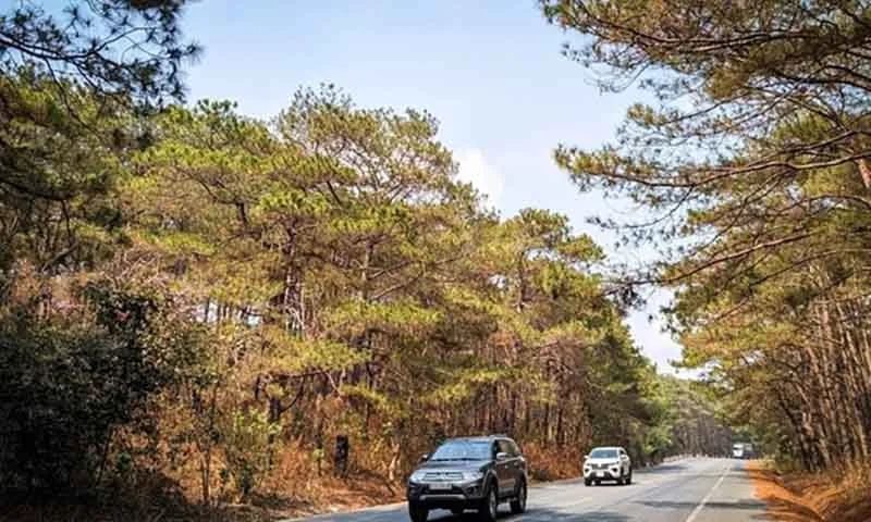 Miễn phí cho người dân sống gần trạm BOT quốc lộ 19 - Ảnh: TTO